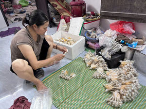 ช้อนไข่มุกคุณภาพสูงช้อนทรงเปลือกหอยสุดหรูเหมาะสำหรับเสิร์ฟขนมคาเวียร์และเครื่องปรุงรสเบาๆ - Product Image 2