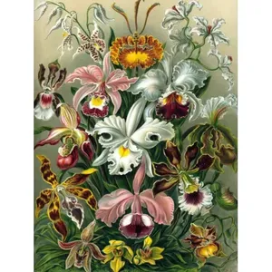 Orquídeas 6x8 Mural de pared de cerámica Cocina y baño Backsplash para decoración de cocina y baño - Product Image 1