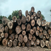 Livraison rapide des grumes de pin Radiata Prix de gros Achat direct pour les projets de bois de qualité supérieure