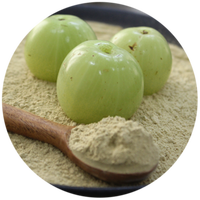 Hoogwaardig biologisch wild Amla fruitpoeder voor haargroei en glans, vacuüm verpakt, voedingsmiddelkwaliteit, vermindert haaruitval, verbetert de haarkwaliteit