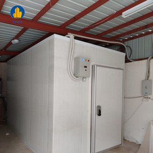 10ft container lạnh lưu trữ đơn vị lạnh cửa hàng máy lưu trữ phòng thiết bị bay hơi ngành công nghiệp lạnh lưu trữ container cho rau - Product Image 5