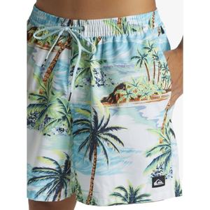 Men Beach Shorts Quick Dry Polyester Swim Shorts Lightweight Breathable Summer Surf Board Shorts <b>Elastic</b> Waist Swimwear OEM - Product Image 4