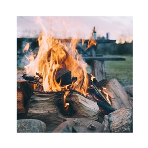 Kiln Dried Firewood / <b>Oak</b> and Beech <b>Logs</b> / mangrove hardwood firewood for Sale - Product Image 4