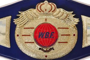 Cinturones de campeonato de boxeo Trofeos Medallas y premios el símbolo definitivo de la victoria y la excelencia Cinturones de Campeonato - Product Image 4