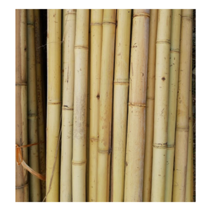 Bâton de bambou de haute qualité et poteaux de bambou solides, poteaux de bambou brut jaune naturel support de plante durable, caractéristique de jardin - Product Image 6