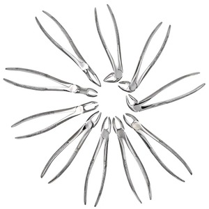 Alicates de Acero Inoxidable para Extraer Raíces de Dientes, Elevador con Kit, Herramientas de Dentista, Juego de Fórceps para Niños y Adultos, Venta Al por Mayor - Product Image 6