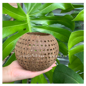 Top Trending 2025 Soporte de luz de té de cáscara de coco/Portavelas de cáscara de coco/Tazón de cáscara de coco para vela con logotipo grabado - Product Image 5