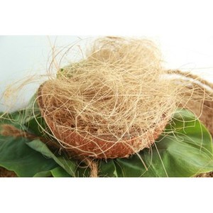 FIBRE DE NOIX DE COCO VIETNAM/CORDE DE COIR/FIBRE DE NOIX DE COCO HAUTE QUALITÉ À VENDRE - Product Image 2