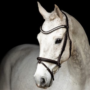 Bride anatomique Stanford en cuir de cheval Bride anatomique en cuir de cheval - Product Image 3