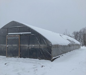 Meilleur prix à faible coût Film Pe <span class=keywords><strong>Serre</strong></span> végétale <span class=keywords><strong>Serre</strong></span> <span class=keywords><strong>Tunnel</strong></span> agricole - Product Image 6