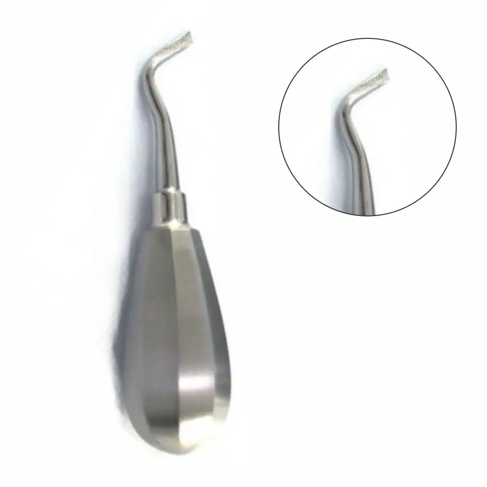 Curved Tip Root Canal Good Quality Dentist Root Elevator Wholesale Made In Pakistan Dental Root Elevator For Sale