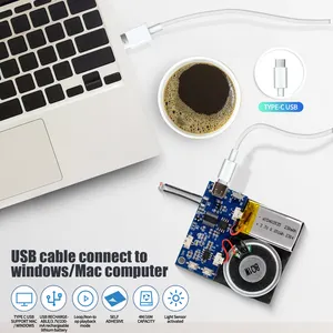 Modul Suara kartu ucapan dapat diunduh USB dengan saklar Sensor cahaya Chip suara untuk hadiah speaker kartu ucapan