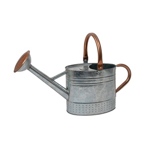 Top tendance Jardin décoré en acier galvanisé vintage pot de fleur enduit de poudre plante bon marché arrosoir en métal - Product Image 4