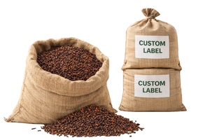 Clavos de olor secos de nueva cosecha 2026 AB6 AB8 Marrón rojizo Mejor precio Aroma Bolsas de PP Bolsas de yute Empaque MOQ 1 Contenedor Indonesia Global - Product Image 5