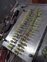 Machine de moulage par injection automatique pour la fabrication de pots de fleurs de jardin à domicile