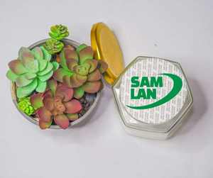 Bouchon de bouteille anti-fuite Sam Lan Safety Sealer blanc pour bouteilles, qualité pharmaceutique, taille personnalisée, fabriqué au Vietnam - Product Image 1