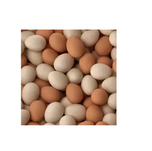 Melhor Preço de Fábrica Natural Branco/Brown Shell Ovos Frescos de Galinha Tabela Disponível Em Grande Quantidade