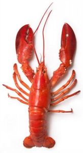 กุ้งปูน้ำจืดแช่แข็งในกล่องบรรจุสุญญากาศสำหรับอาหารสำเร็จรูป - Product Image 2