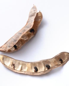 FRUITS SÉCHÉS LOCUSTE NOIR VENTE EN GROS PRIX COMPÉTITIF & LIVRAISON RAPIDE - Product Image 4