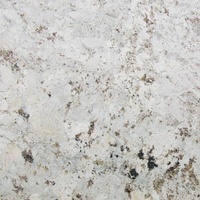 Vente en gros, pierre de granit blanc, poli, aiguisé, flammé, pour comptoir de cuisine, qualité supérieure