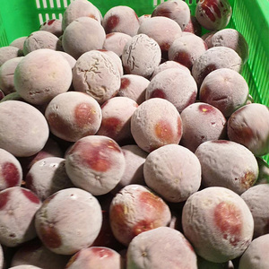 Purée de fruit de la passion surgelée IQF de qualité supérieure du Vietnam, puree naturelle de fruit de la passion pour boissons et desserts, fournisseur en gros - Product Image 4