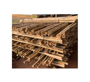 Poteau en bambou d'usine du Vietnam de haute qualité avec la taille adaptée aux besoins du client pour l'agriculture - Product Image 1