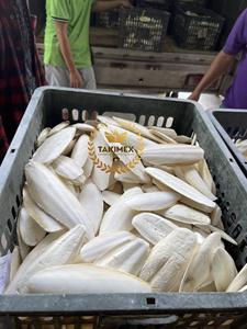 Hueso de sepia de tamaño personalizado y cartón empaquetado hecho en Vietnam - Product Image 4