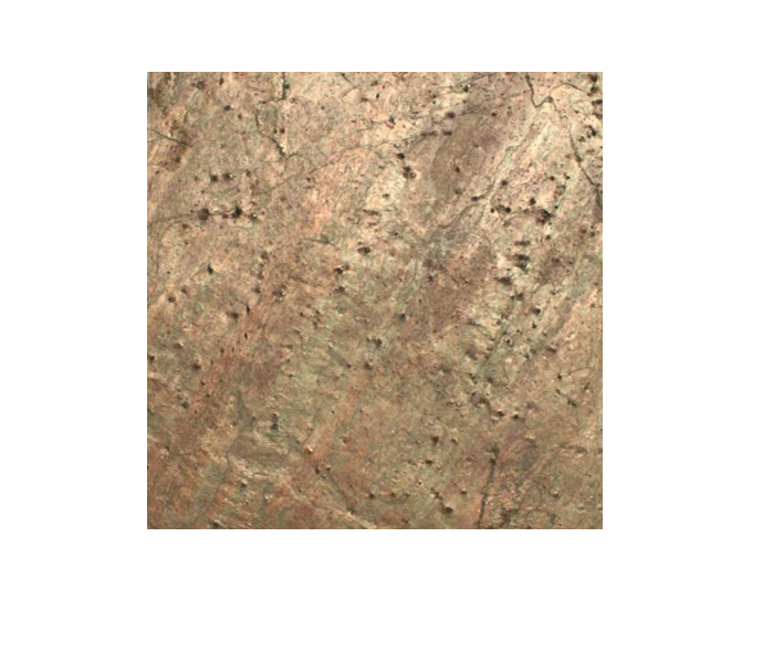 ตามที่แสดงในภาพ