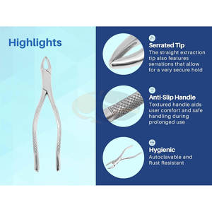 Fórceps de extracción de dientes dentales de primera calidad, incisivos, caninos, premolares, dientes superiores e inferiores, extracción oral, instrumentos médicos - Product Image 6