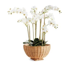 Delicioso Jarrón de Ratán Blanco, Hecho a Mano, Maceta Decorativa de Mimbre, Estilo Minimalista para Entrada, Mesa, Sala de Estar y Decoración del Hogar - Product Image 5