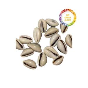 Concha decorativa disponible a gran precio Producto de calidad de 99 Gold Data - Product Image 1