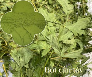 Poudre de céleri vietnamien | Qualité écologique et de qualité d'exportation - Product Image 1