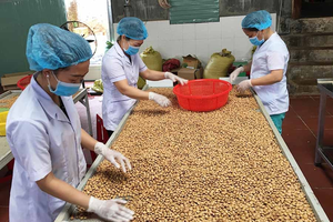 Vietnam exporta aceite de sacha inchi prensado en frío-alta calidad, conservando una nutrición completa - Product Image 2