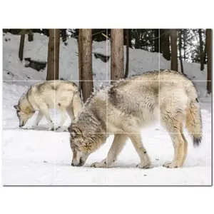 <b>Wolf</b> Ceramic Tile <b>Wall</b> Mural PT501229 32"W X 24"H Set of 12 8x8 Tiles - Product Image 1