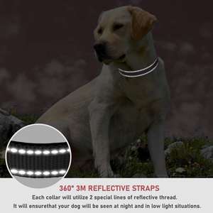 Collier réfléchissant personnalisable pour chien, collier de sécurité en nylon avec boucle, idéal pour courir et marcher la nuit/ - Product Image 4