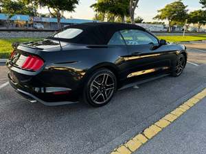 FORD MUSTANG ECOBOOST CABRIOLET RWD 2019 PRÊT À ÊTRE EXPÉDIÉ - Product Image 3
