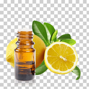 น้ำมัน ravinsara essentie บริสุทธิ์จาก100% น้ำมัน ravinsara บริสุทธิ์น้ำมันหอมระเหย - Product Image 1