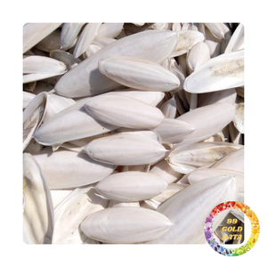 Os de seiche séché du Viet Nam | Grande source de remède naturel | Prix de gros - Product Image 6