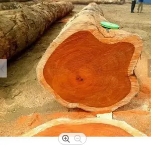 Beste Kwaliteit Hout Grondstoffen Teakhout Logs/Gezaagd Sparrenhout Hout Boomstammen Grenen Hout Timmerhout