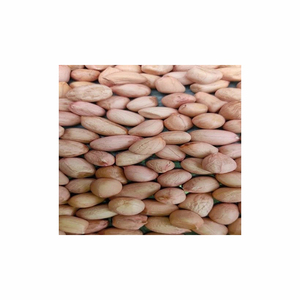 Cereal de semilla de cacao 50kg Shea Dry Ground Nut Cacao en grano Cacahuete Tostador de maní Horno para la venta de semillas - Product Image 4