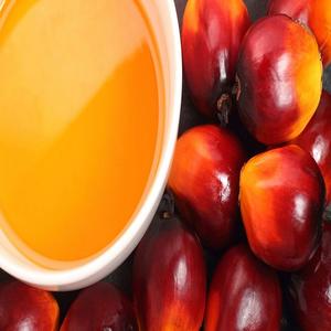 น้ำมันปาล์มโอเลอินสำหรับทำอาหารโรงแรมร้านอาหาร - Product Image 5