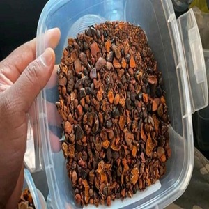 Fournisseur de capsules de calculs biliaires de bœuf en vrac, non hydrosolubles, pour application alimentaire, origine France, à vendre - Product Image 2