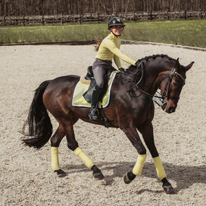 Horse <b>Saddle</b> Pad High Quality Soft Padded English Breathable Quilted Durable Design for Comfort and Style <b>Saddle</b> Pads OEM - Product Image 2