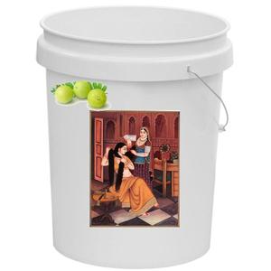 Aceite Capilar Vegano Nutritivo de Amla para Exportación Global (2 en 1) |   Lata de 5L para Salones Profesionales y Spas |   Tratamiento para la Pérdida de Cabello 20 Años - Product Image 1