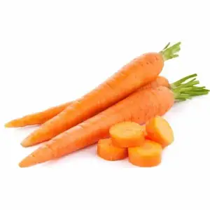 Le verdure fresche esportano la carota fresca di alta qualità dal regno unito per il buon prezzo dell'esportazione