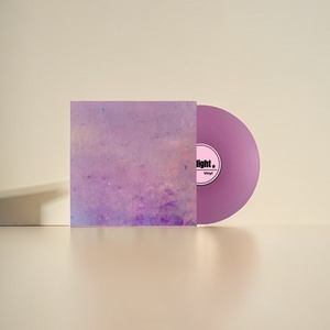 Disco de vinilo PVC decoración colorida disco de música 7 pulgadas 12 pulgadas logotipo impreso personalizado - Product Image 4