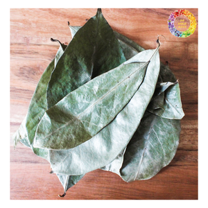 กัวนาบานากริโอลาแห้งจากเวียดนามขายดีทั้งใบทำแห้งกราวิโอลาแห้งสำหรับชงชา - Product Image 5