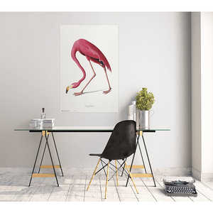 Póster vintage de flamencos americanos para decoración de pared - Product Image 2