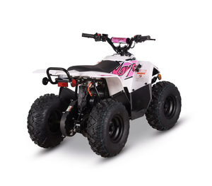 2025 VENTE AUTOMOBILE 3 VITESSES KAYO "EA70 ELECTRICC-MOTOR 4 ROUES UTILITAIRE PRÊT POUR L'EXPÉDITION - Product Image 2