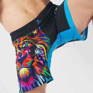 Shorts MMA de haute qualité et confortables à vendre en ligne Shorts MMA imprimés par sublimation Shorts MMA - Product Image 5